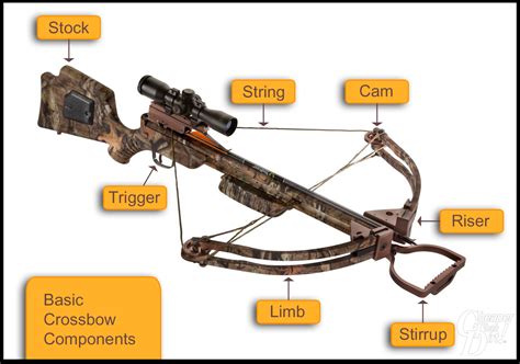 The Waterford arrow is 58 cm (22. . Which part of the crossbow is used to draw the bow